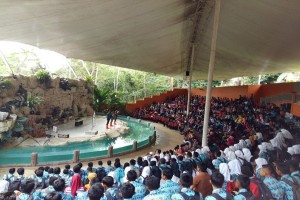 Taman Satwa Lembah Hijau Lampung Diminati Pengunjung