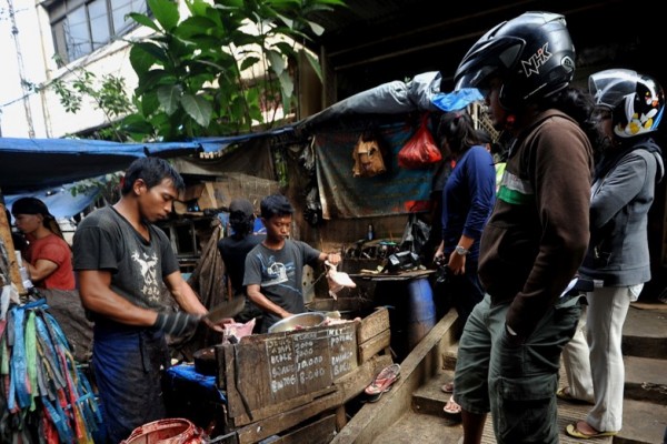 omzet jasa potong ayam capai rp500 000 antara news lung omzet jasa potong ayam capai rp500 000 antara news lung