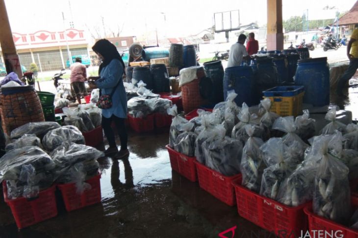 Ramai, hasil lelang TPI Pekalongan capai Rp1 miliar