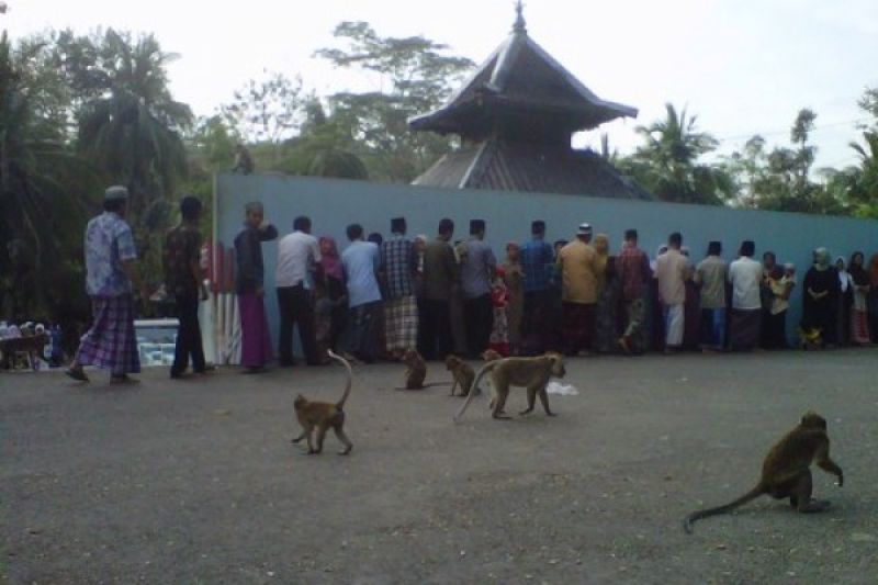 Komunitas Islam Aboge Baru Salat Id Hari Ini