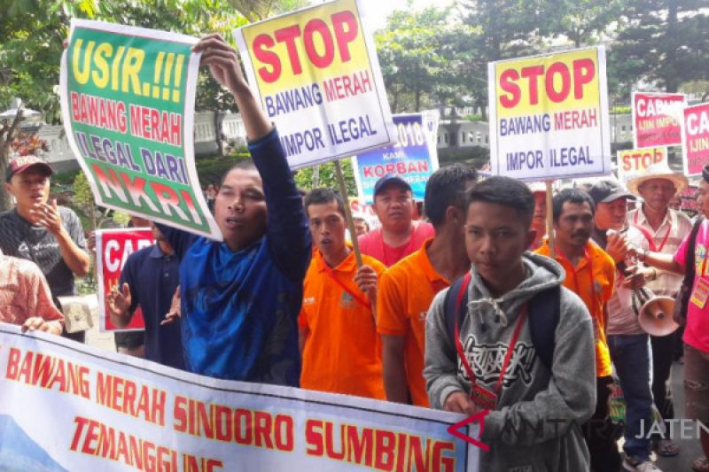 Bawang merah impor masuk, petani Temanggung demo