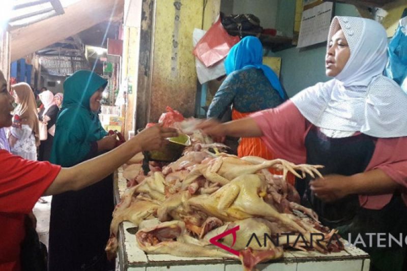 Harga daging ayam terus merangkak tembus Rp45.000/kg