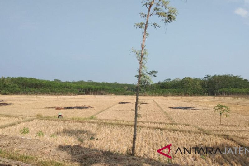 Bersama antisipasi kekeringan dan kekurangan air bersih