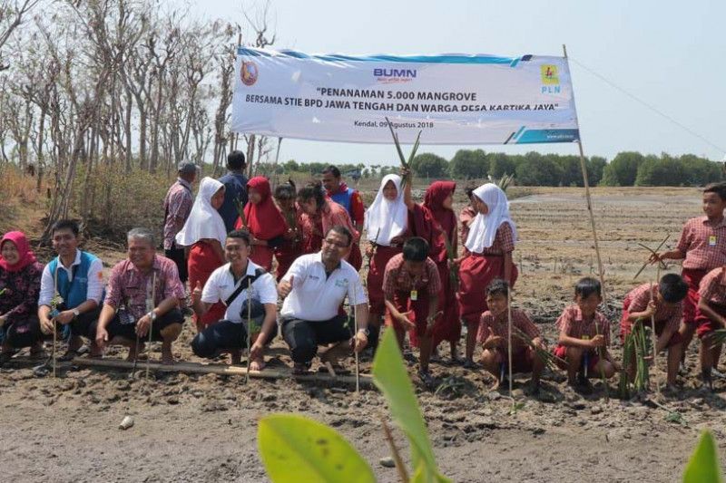 PLN Area Semarang bersama pelajar tanam 5.000 mangrove
