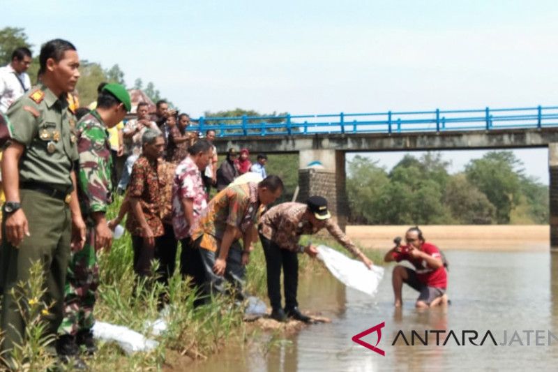 Ratusan ribu bibit ikan ditebar di bendungan Sungai Kramat Batang