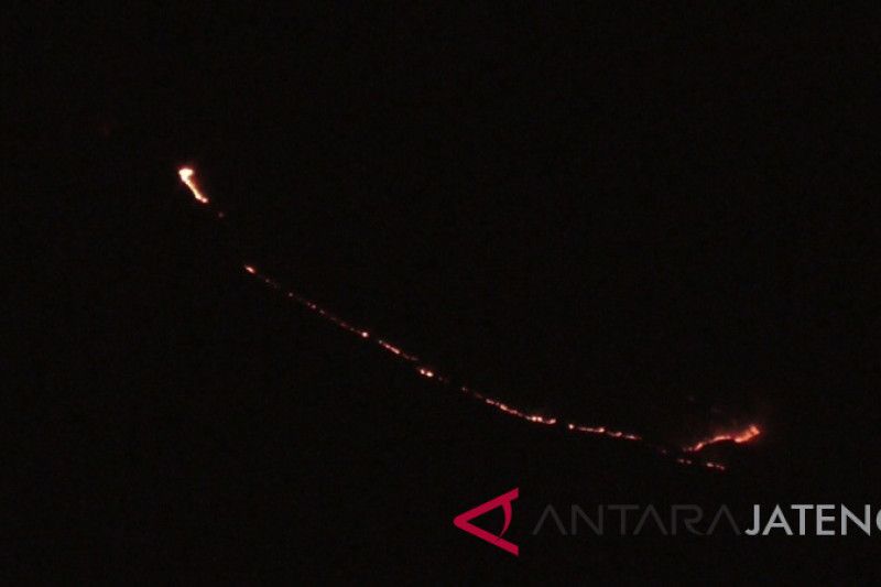 Ratusan hektare hutan Gunung Sindoro- Sumbing terbakar