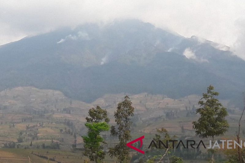 Kebakaran hutan di Gunung Sumbing meluas