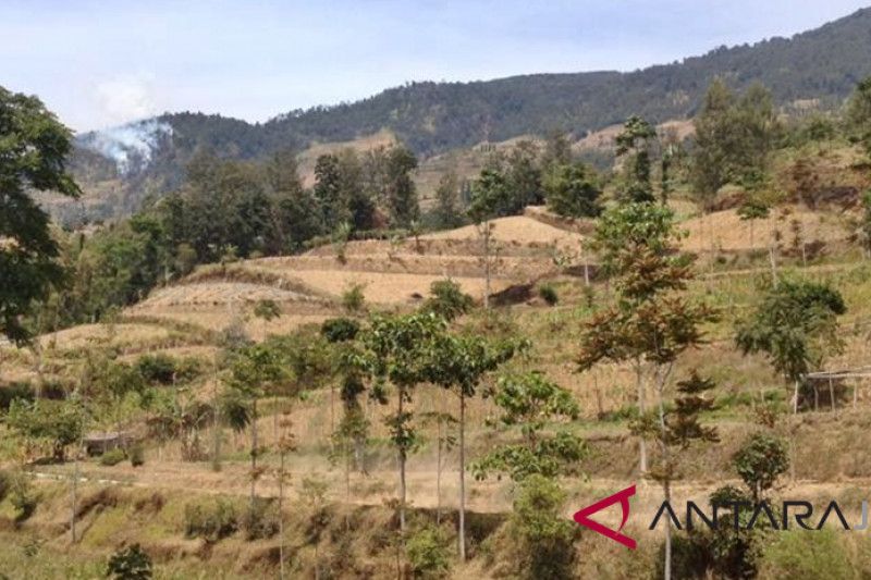 Lereng Gunung Merbabu terbakar