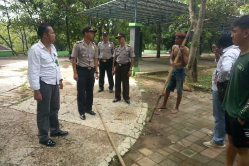 Dua harimau Kebun Binatang Semarang keluar kandang