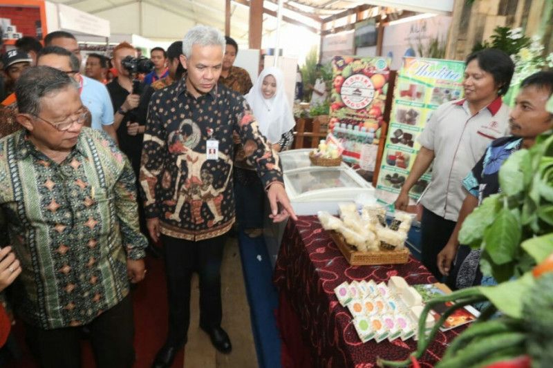Pemerintah luncurkan KUR khusus peternakan rakyat