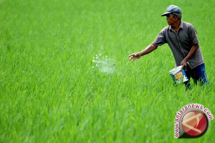 3 936 hektare sawah terdampak jaringan irigasi kalibawang 