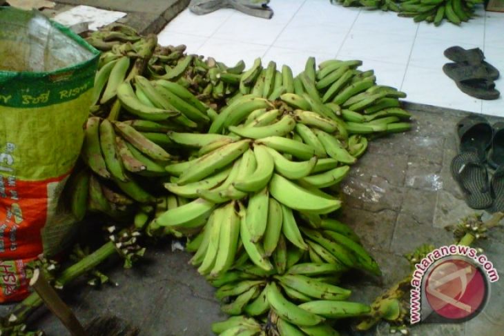 UKM keripik  pisang Yogyakarta kesulitan bahan baku 