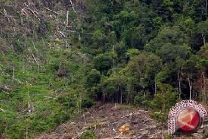 KLH evaluasi 27 "spot" hutan untuk masyarakat - ANTARA 