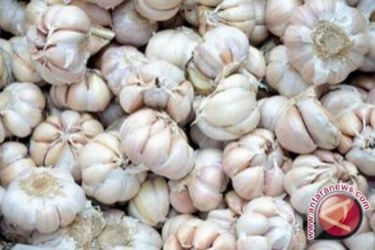 Harga bawang putih tetap tinggi - ANTARA News Yogyakarta 