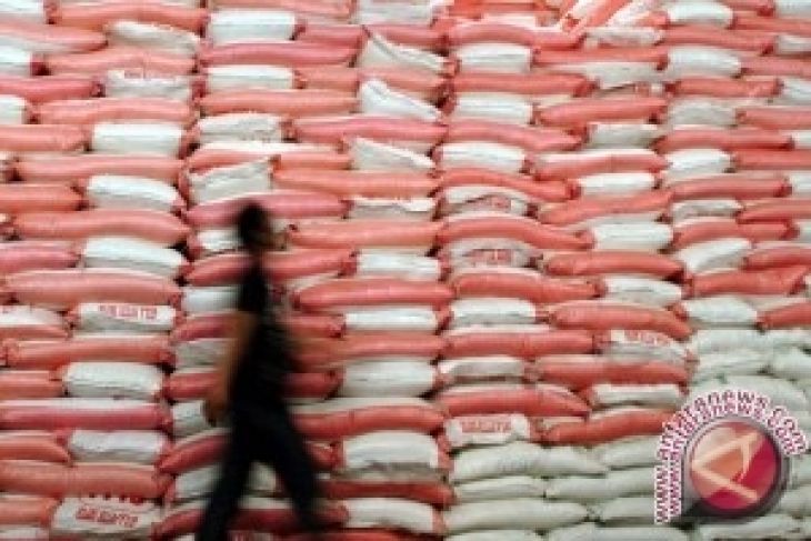 PG Madukismo targetkan produksi gula 41.250 ton - ANTARA 