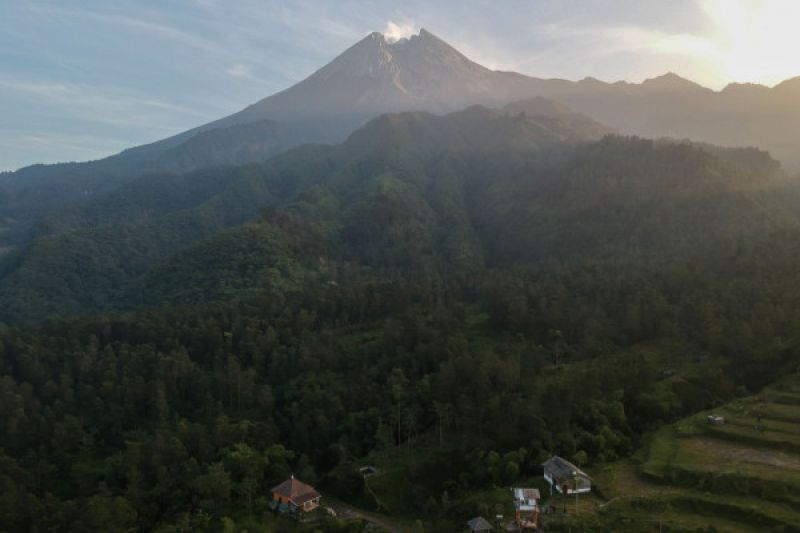 Paling Banyak Dipilih Gambar Mewarnai 22