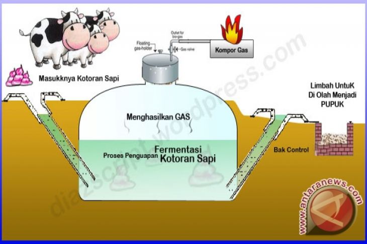 Kelompok Ternak Barut Dapat Bantuan Mesin Biogas - ANTARA 