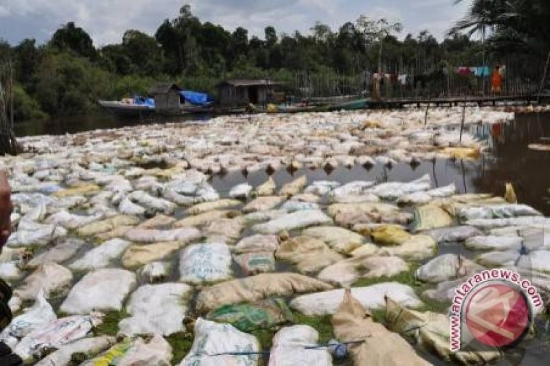 Harga Karet Di Sampit Naik Rp4.000 - ANTARA News 