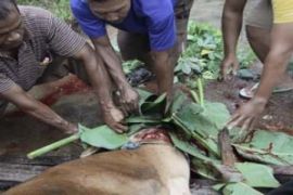 Wakil Wali Kota berkurban bersama petugas kebersihan