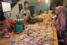 Harga daging Tanjungpinang stabil jelang Idul Adha