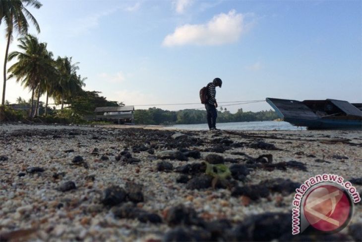  Limbah Minyak Cemari Pesisir Pantai Bintan ANTARA News 