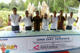 PLN distribusi Lampung gelar