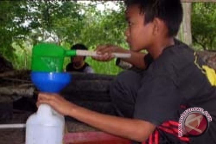 industri minyak nilam mulai berkembang di bantaeng industri minyak nilam mulai berkembang di bantaeng