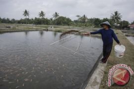 TP-PKK Sulut dukung gerakan memasyarakatkan makan ikan