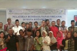 BI tingkatkan pengembangan klaster nanas Kotamobagu sistem GAP