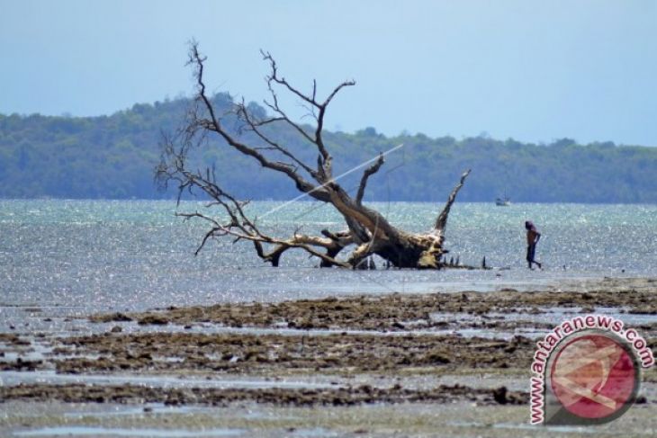 Moyo Dan Satonda Layak Jadi Taman Nasional - ANTARA News 