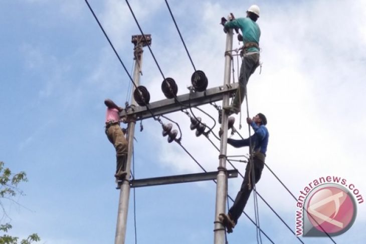 Angin kencang merusakkan jaringan  listrik  di Jayapura ANTARA News Papua