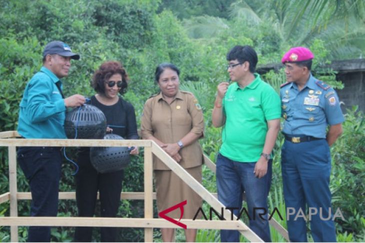 Freeport libatkan suku Kamoro budidayakan