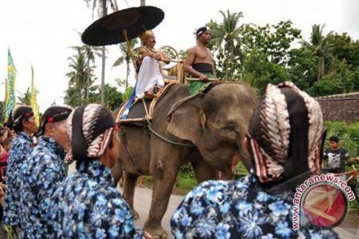 Gajah Sumatera Diminati Istri Kasal Brunei - ANTARA News 