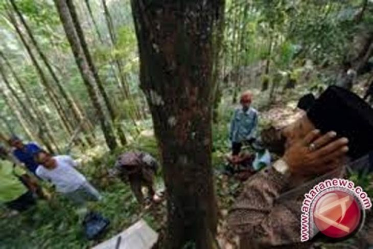 Marena Bisa Jadi Contoh Desa Peduli Hutan - ANTARA News 