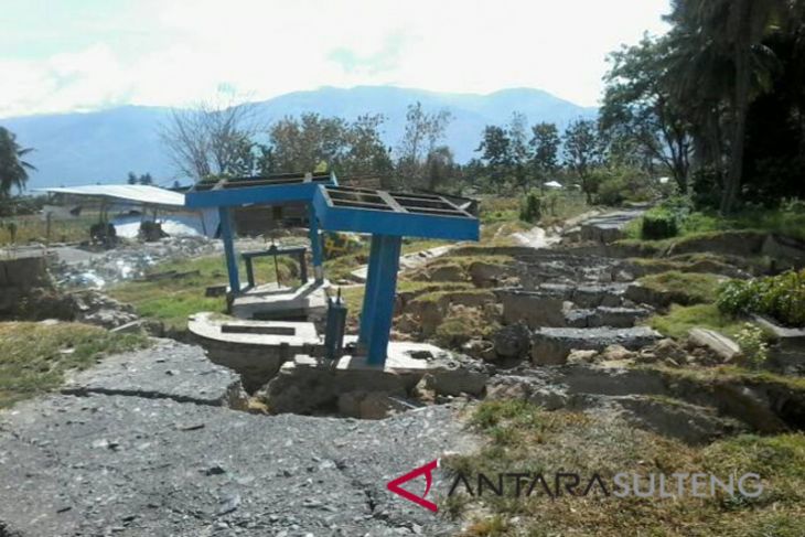Harapan besar petani Sigi pascabencana