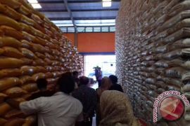Ketahanan stok beras Bulog Sultra sembilan bulan