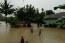 Hujan deras, sejumlah kawasan di Kendari banjir