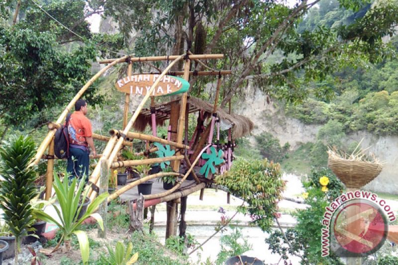 Ada Objek Wisata Baru Di Bukittinggi Namanya Rumah Pohon Inyiak