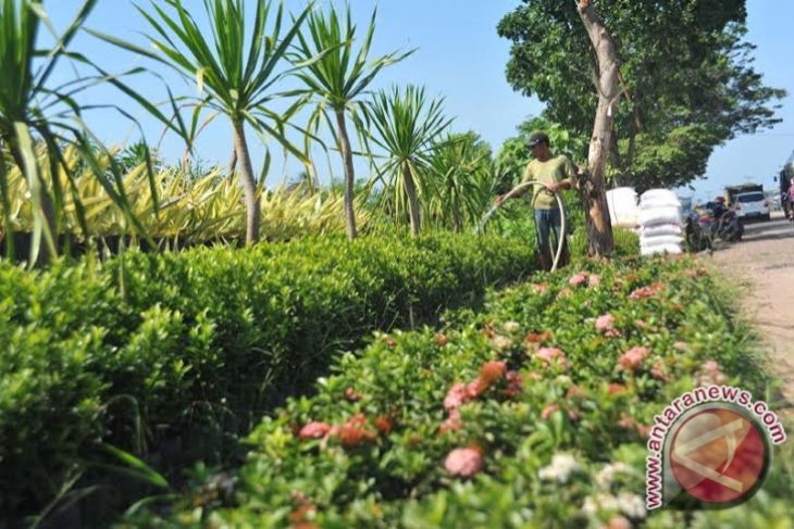 Warga Palembang percantik pekarangan dengan itanamani ihiasi 