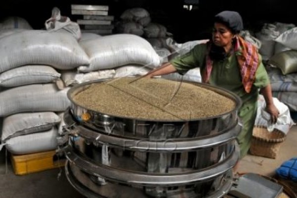 Jamu Air Mancur Setia Kembangkan Produk Herbal