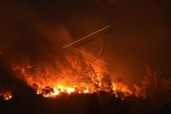 300 pendaki terjebak kebakaran hutan di Lawu