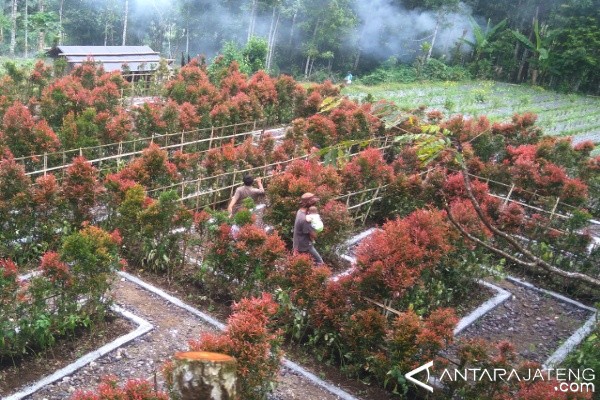 Proyek Tempat Istirahat Butuh Tambahan Rp6 Miliar