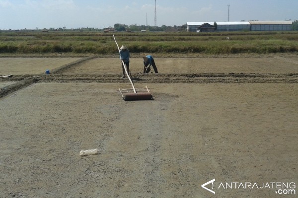 Tingkatkan kualitas, petani garam Pati berharap bantuan geomembran