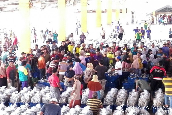 Cuaca Bersahabat, Produksi Ikan Melesat