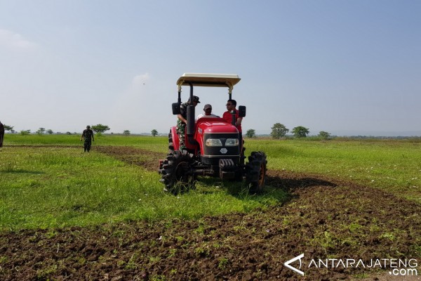 Lahan Tidur di Kudus Mulai Ditanami Padi