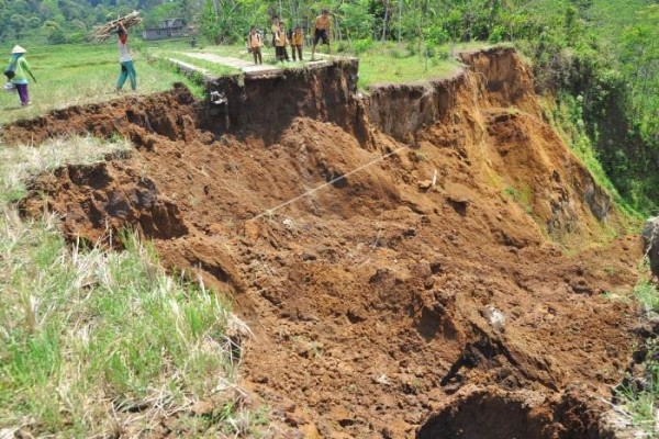 Masyarakat Banjarnegara Diimbau Mewaspadai Longsor Dan Pohon Tumbang