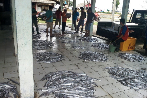 Tangkapan berkurang, harga ikan merangkak naik