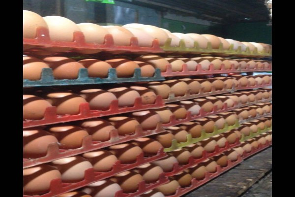 Pasokan Minim, Harga Telur di Temanggung Merangkak Naik