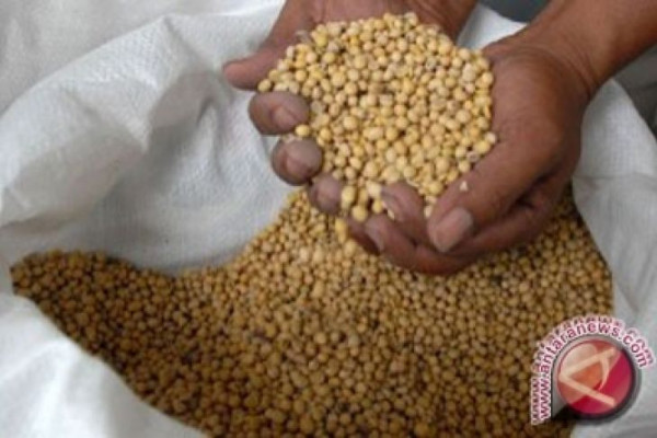 Harga kedelai impor di Kudus tembus Rp7.500/Kg