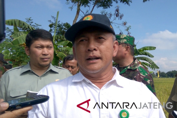 Petani diminta gunakan metode tanam